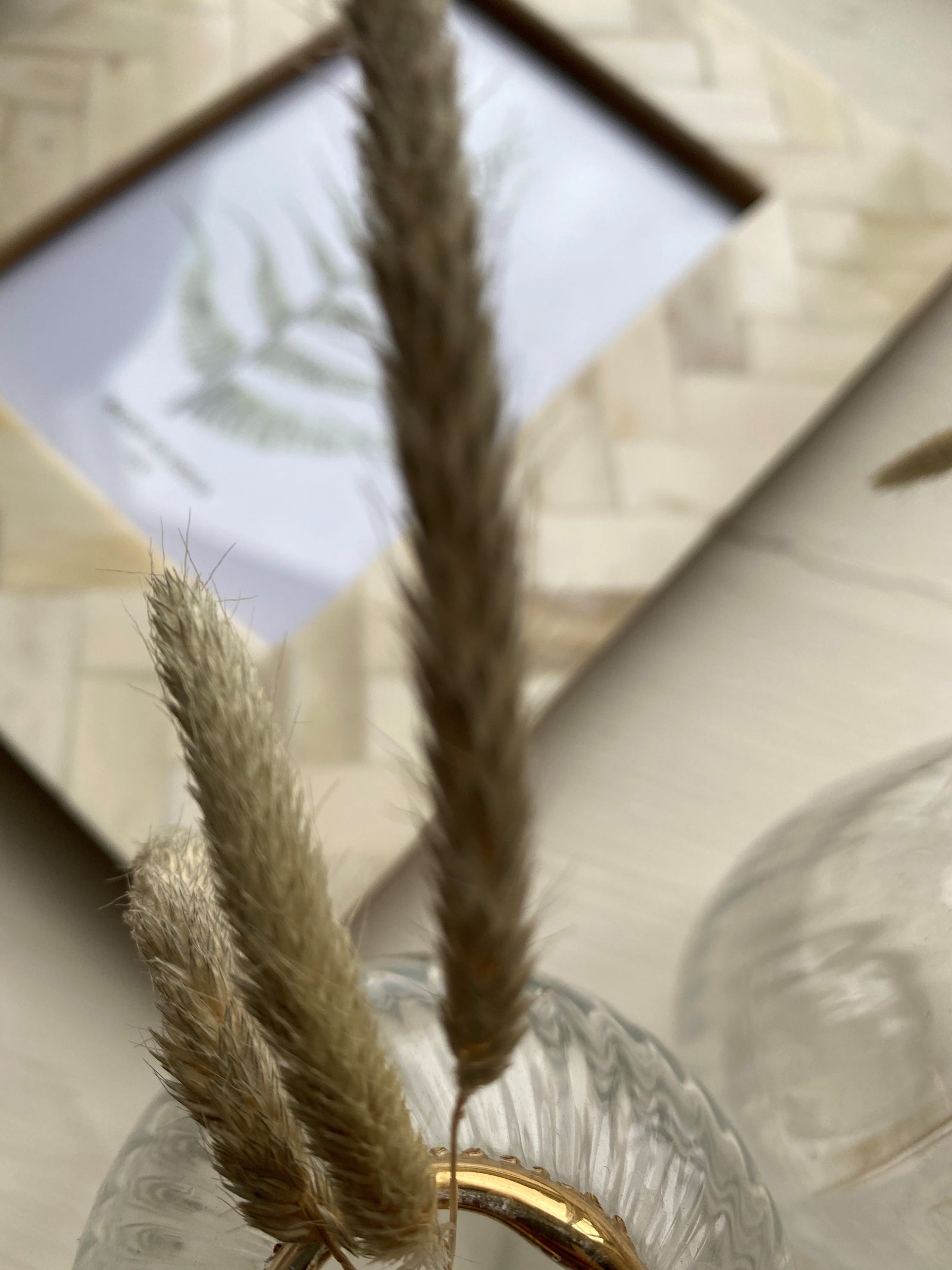 Faux Ivory Glossy Frame