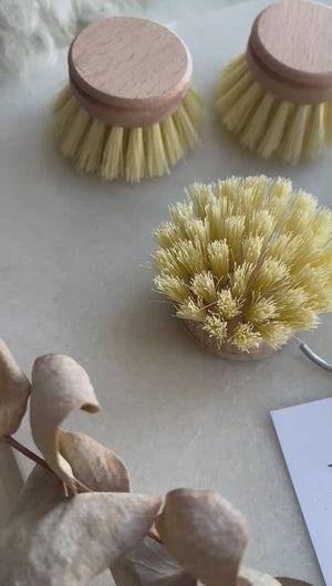 Bamboo Fibre Long Handle x 5 heads - Dish & Veg Washing Brush