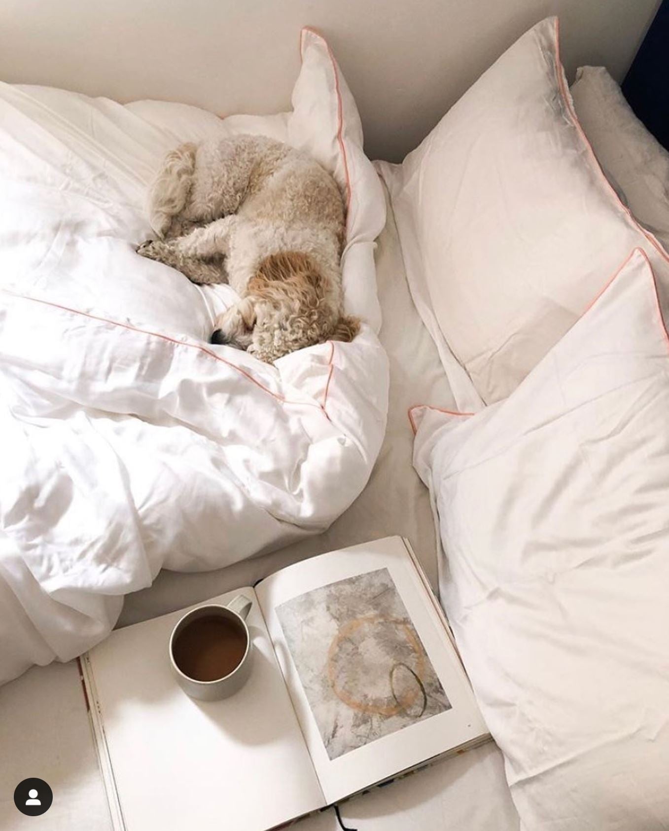 4 Piece 100% Organic Luxurious Bamboo Bedding - Peachy Dreams